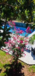 Villa Amore - - 5