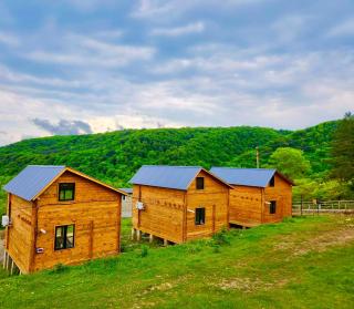 Sioni Hillside Cottages - Sioni - 9