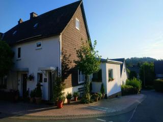 Vibrant Apartment in Willingen with Private Terrace - Willingen - 9