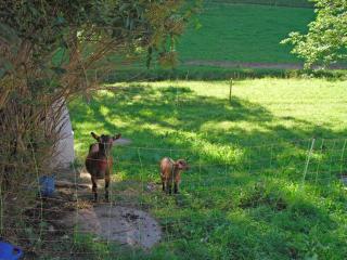 Comfortable holiday home in a beautiful location - 2