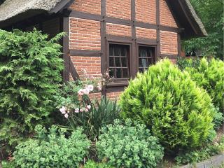 Holiday Home in Kirchdorf with Swimming Pool,Terrace, Garden - Kirchdorf - 4