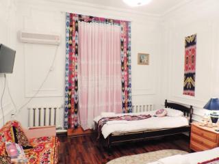 Prestige guest house with free swimming pool - 5