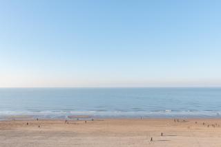 Ermitage Sunny Side - 95 - 8