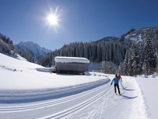 Spacious Apartment near Ski Area in Mayrhofen - 7