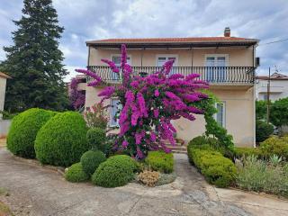 Bošana Beach Apartment Biograd - 8