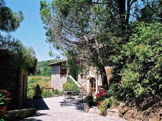 Farmhouse with stables, horses and the ability to make horseback riding - 4