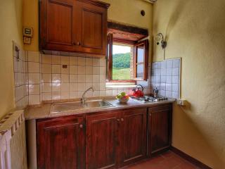 Farmhouse with stables, horses and the ability to make horseback riding - Monte Santa Maria Tiberina - 7