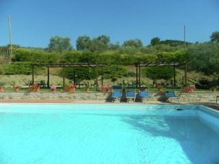 Farmhouse with stables, horses and the ability to make horseback riding - Monte Santa Maria Tiberina - 1