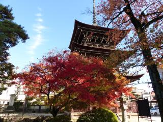 Minshuku Kuwataniya - Takayama - 4