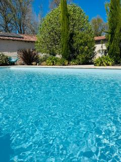 Le Logis de la Soloire - Nercillac - 9