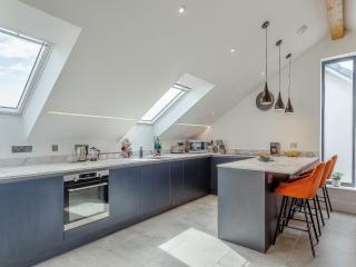 Scilla - Uk50179 - Helston - 3