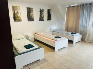 City Apartment für Familien und Gruppen - 5