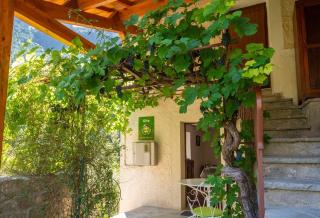 La maisonnette a la caze - Saint-Pierre-des-Tripiers - 6