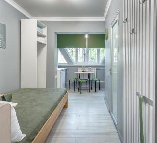 Asaapart Mega Studio 3 - Almaty - 9