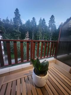 Borovets Violet by Ski slopes - Borovets - 8