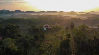 Manikgoda Tea Paradise New - Matugama - 4