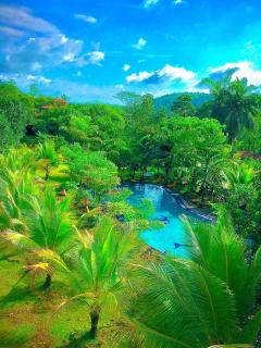 Manikgoda Tea Paradise New - Matugama - 6