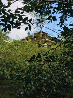 Manikgoda Tea Paradise New - Matugama - 7