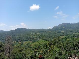 Kandy golden breeze - Kandy - 3