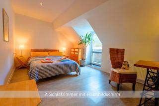 Kinofilmwohnung mit großem Dachgarten im Gästehaus Graf-Schmelzer - 1