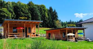 DingDong - Unteraichwald - 0