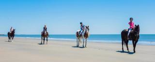 Oceanview Chalet & Apple Orchard - Drumaville - 7