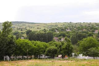 Ograda cu salcâmi - - 3