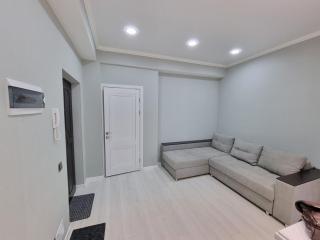 Starostenco Luxury Biggest Apartments - Chişinău - 7
