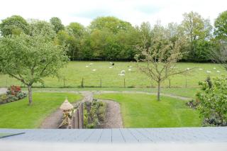 Appartement Hoeve aan de Zuurlanderes Stal-2 - Diever - 9