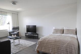 Arctic Glow Apartment By BookLapland - - 5