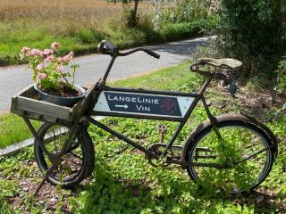Langelinie Vin - Countryside - Frederikssund - 0