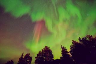 Reindeer River lights lodge - Kiruna - 5