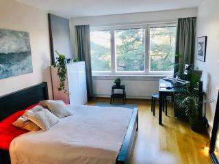 Quiet and spacious family apartment 80m2 - Helsinki - 1