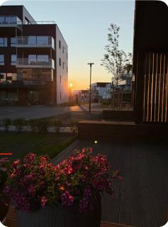 Midnight sun apartment - 0
