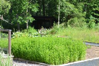 Villa Jade - Lohja - 7
