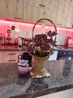 Kuća za odmor "Mira" - 1