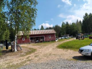 Sammalinen - Jyväskylä - 0