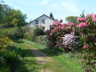 Forest How Guest House - Eskdale - 5