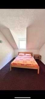 Apartmani Torlakovac - 7