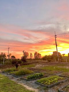 BanYat Farm Stay - - 2