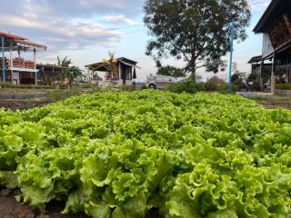 BanYat Farm Stay - - 1