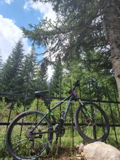 Villa Monte relax - 1