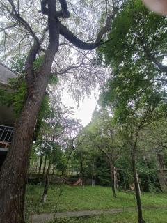 Dacha Haus - 6