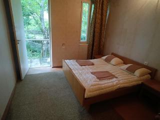 Dacha Haus - 1