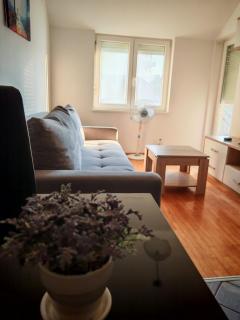 Apartman 10 - Dar Lux - 7