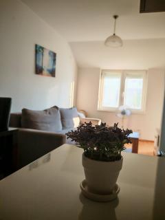 Apartman 10 - Dar Lux - Banja Koviljača - 2