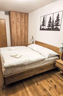 Apartment Ski&Bike Siréna-5 by Interhome - 7