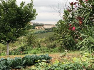 Ferienhaus La Torretta - Cella Monte - 5