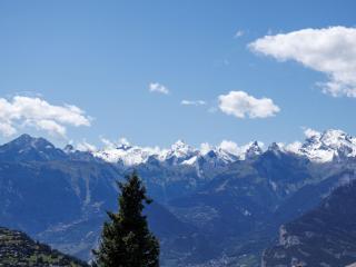 Apartment Hortensia 10 by Interhome - 5