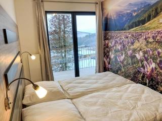 Apartment Ski&Bike Siréna-6 by Interhome - Janské Lázně - 9